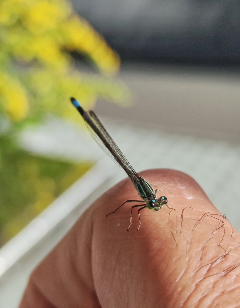 Photograph by Luigi Greco