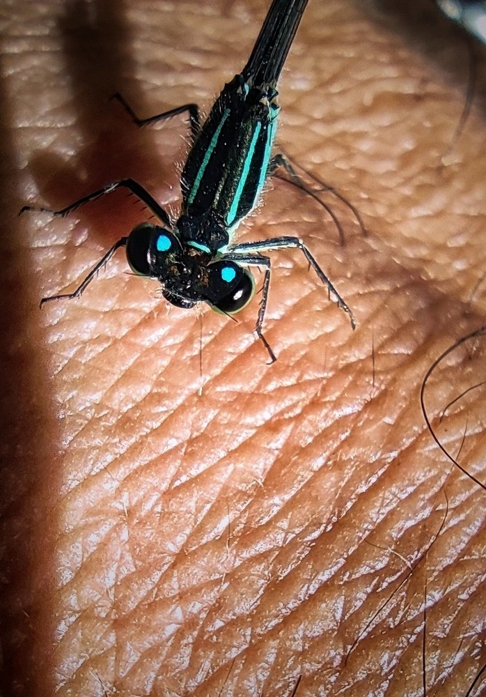 Photograph by Luigi Greco