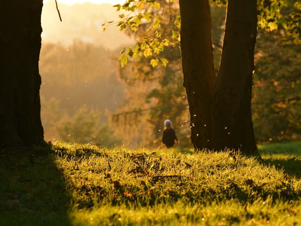 Фотография автора Iwona Moskalik