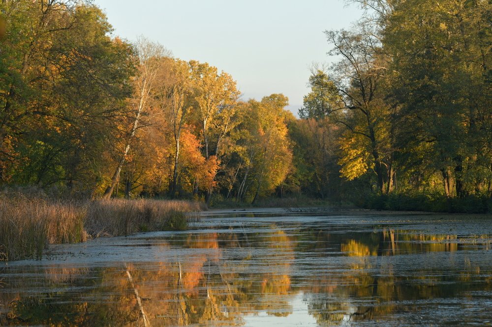 Фотография автора Iwona Moskalik