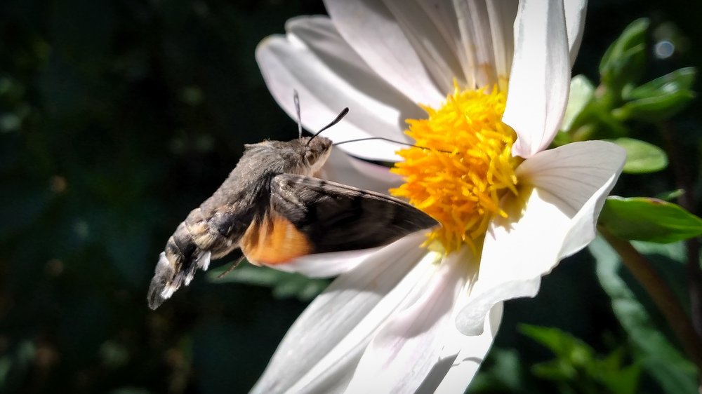 Photograph by Mohammad Amin Karimi