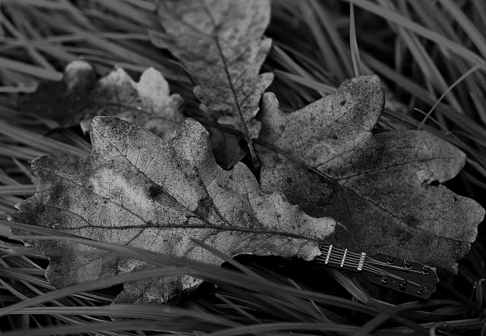 Последние аккорды осени.