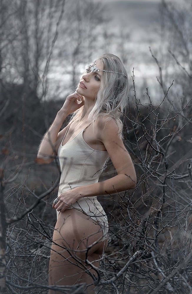 Photograph by Татьяна Паламарчук