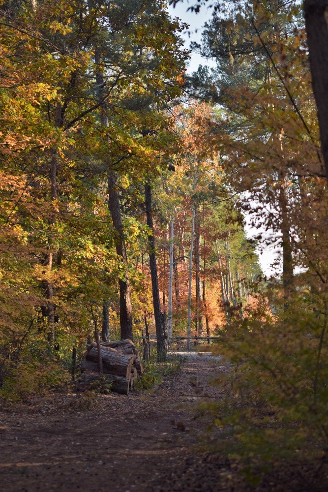 Фотография автора Iwona Moskalik