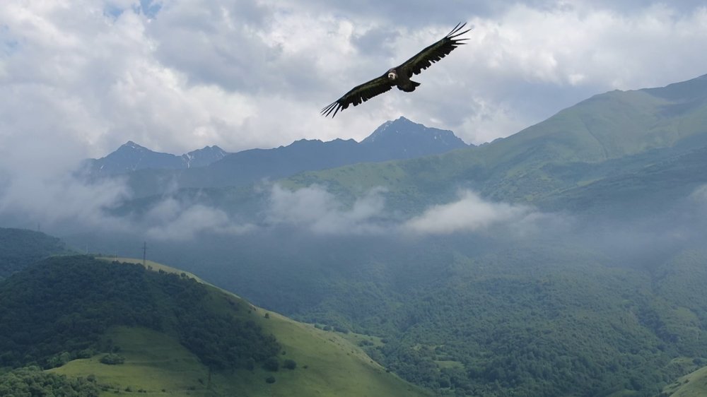 Photograph by Денис Савин