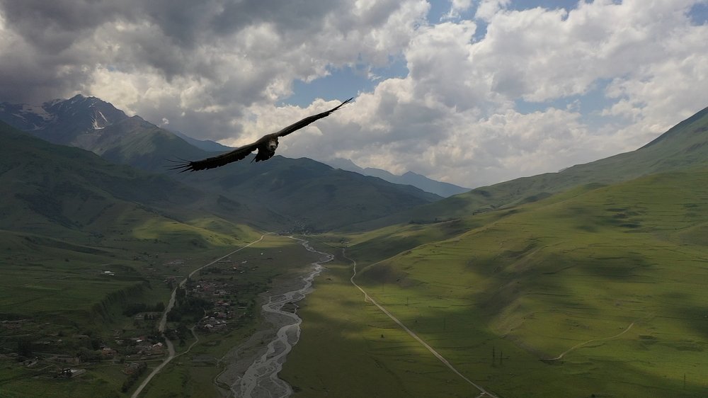 Photograph by Денис Савин