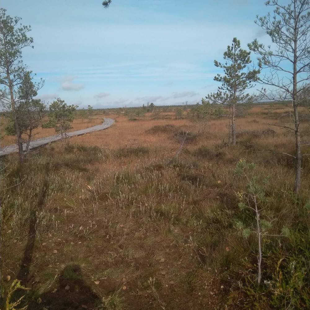 Photograph by Светлана Михайлова