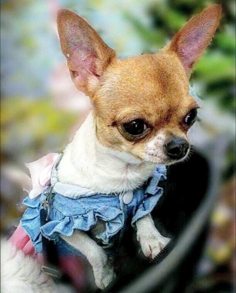 Фотография автора Валентина Рихмаер