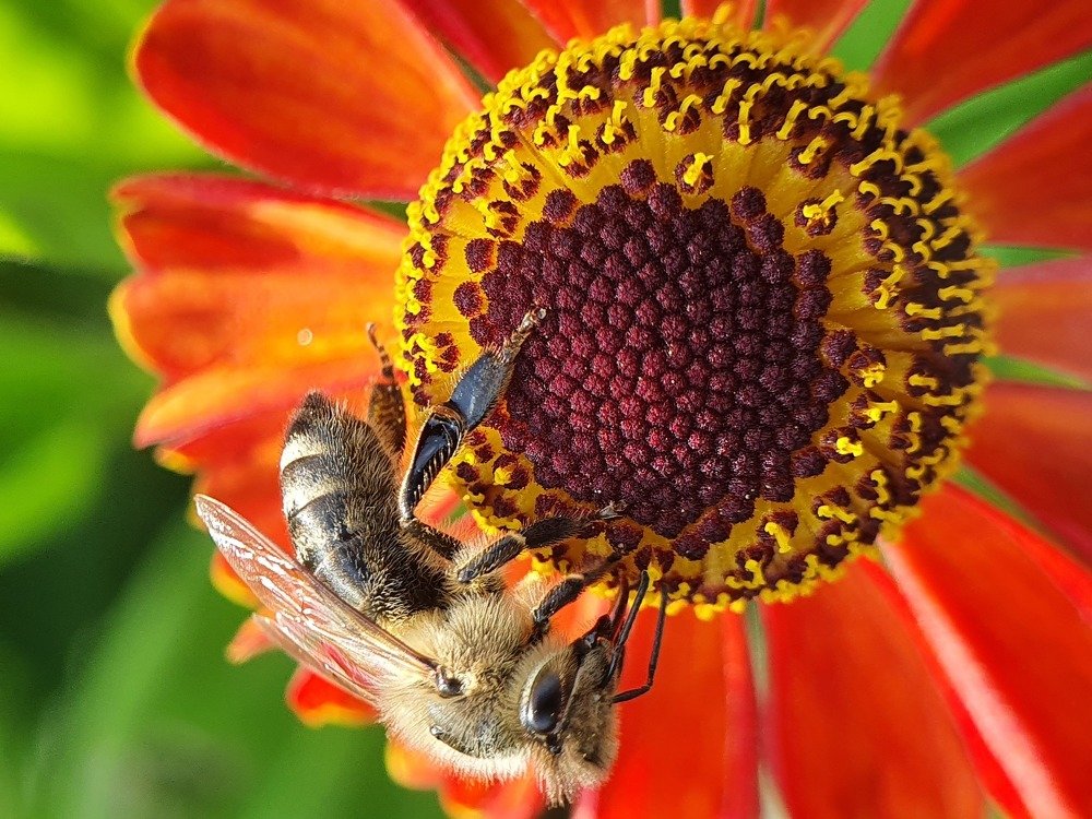 Фотография автора Юлия Таран