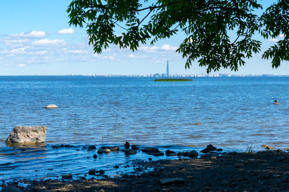 Photograph by Юлия Боровкова