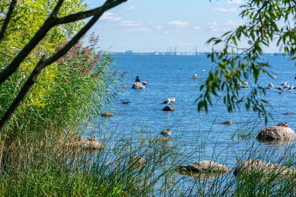 Photograph by Юлия Боровкова