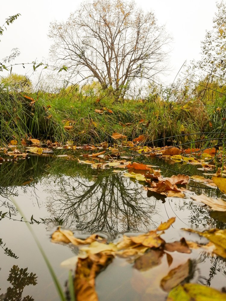 Photograph by Таша