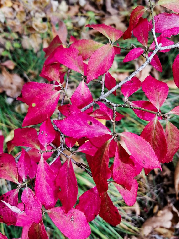 Photograph by Таша