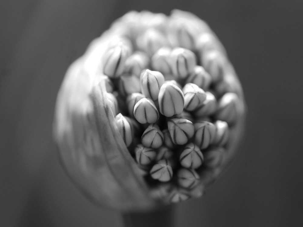 Photograph by Оксана Трофименко