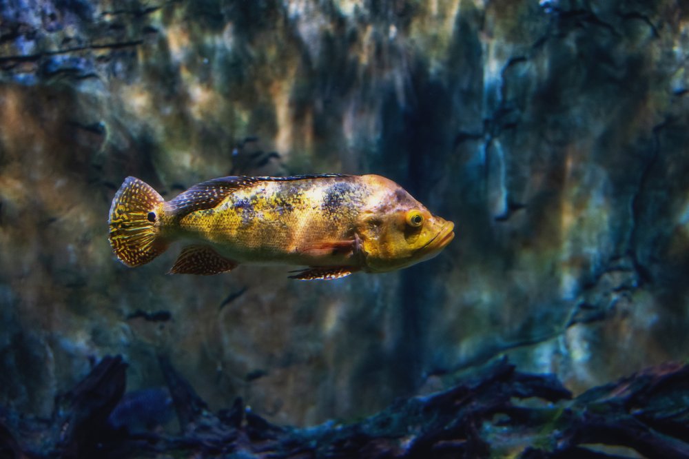 Photograph by Демьян Лопатов