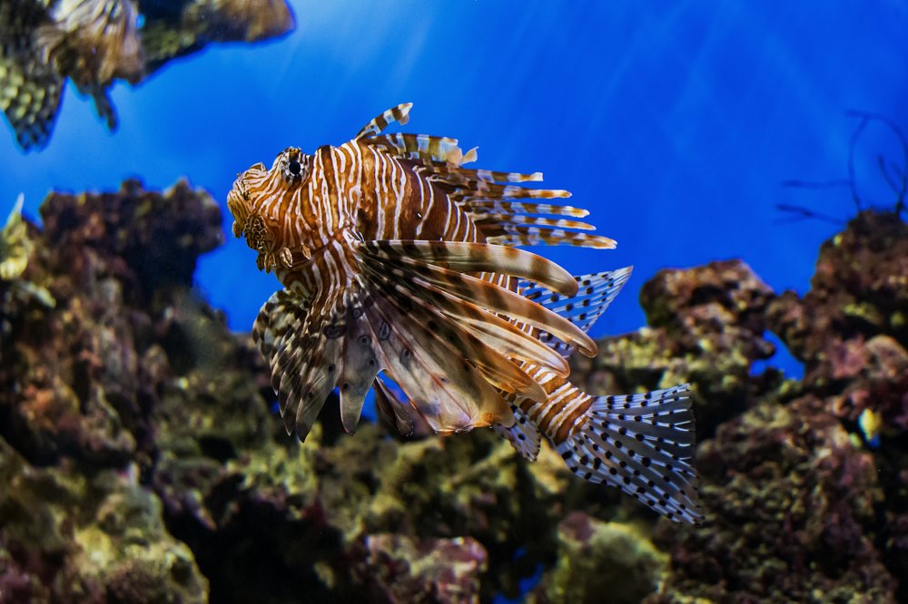 Photograph by Демьян Лопатов