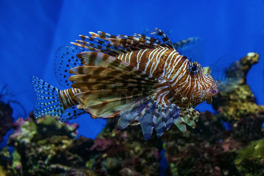 Photograph by Демьян Лопатов