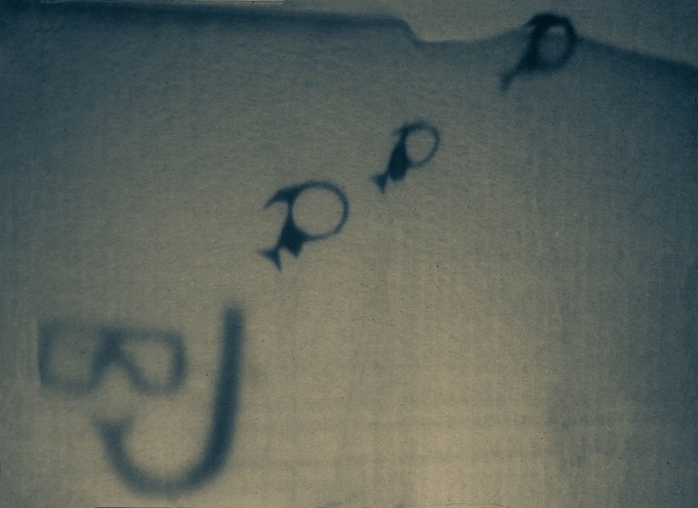 Photograph by Таисия Валюженич