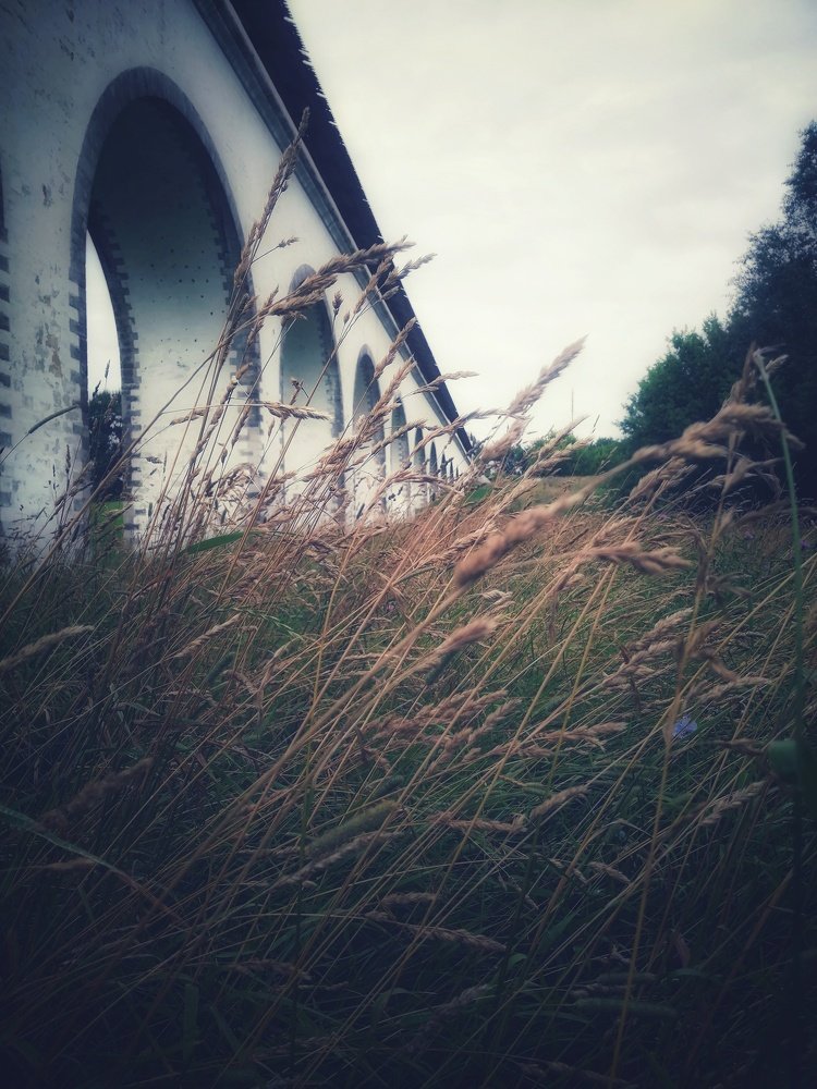 Photograph by Анка Ldinka