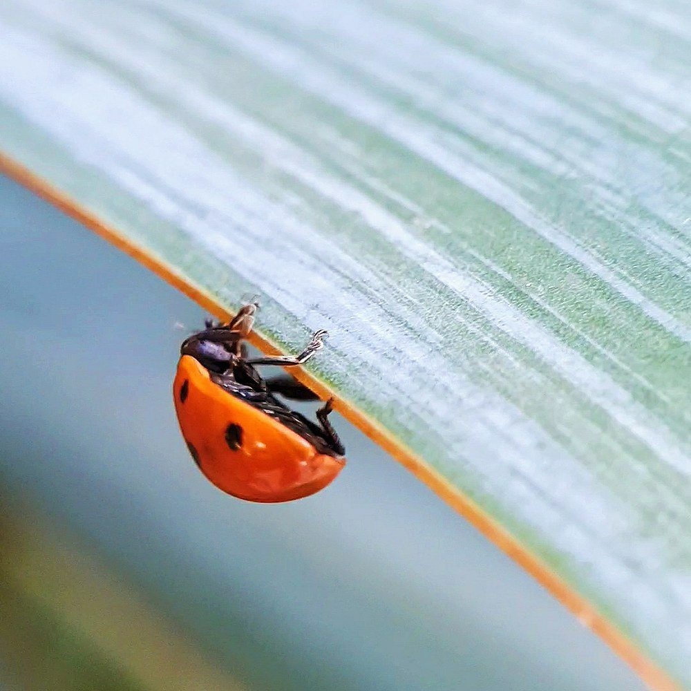 Фотография автора Юлия Таран