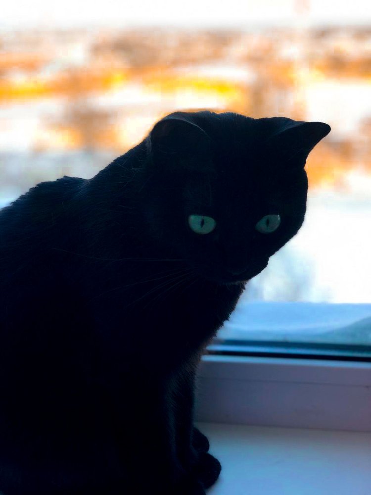 Photograph by Таша