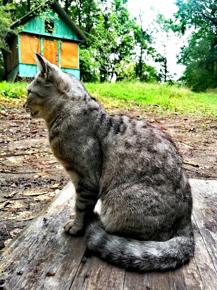 Photograph by Таша