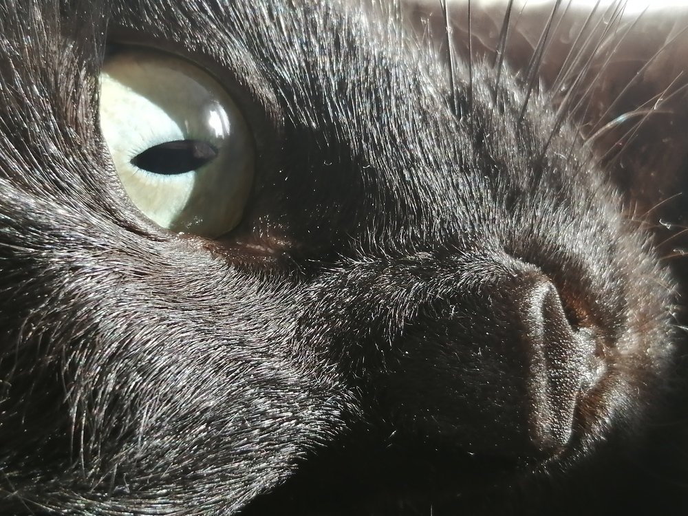 Photograph by Таша