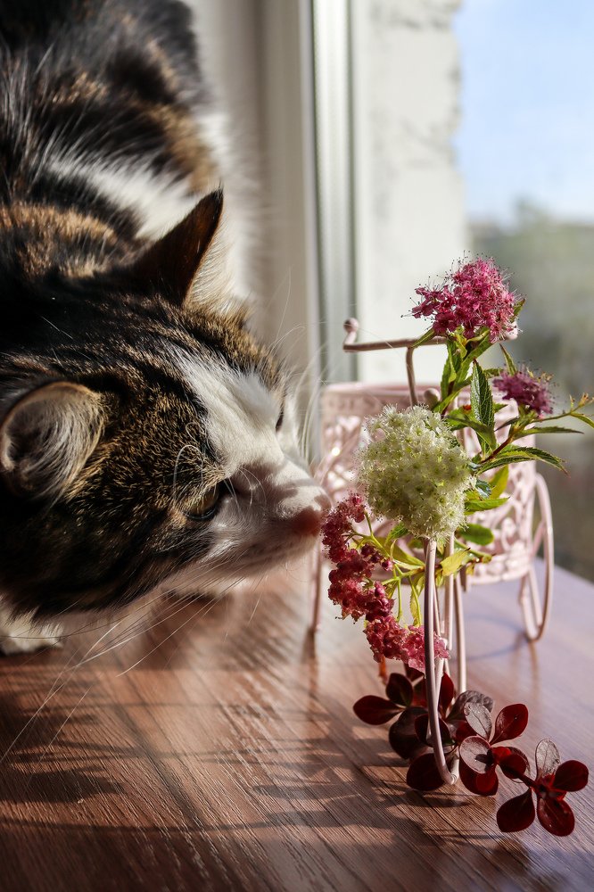 Photograph by Елена Квасова