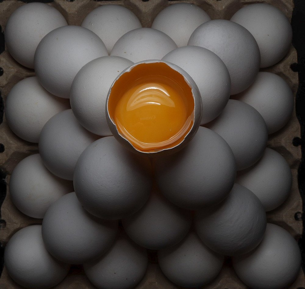 Photograph by Mark Kineth Casindac