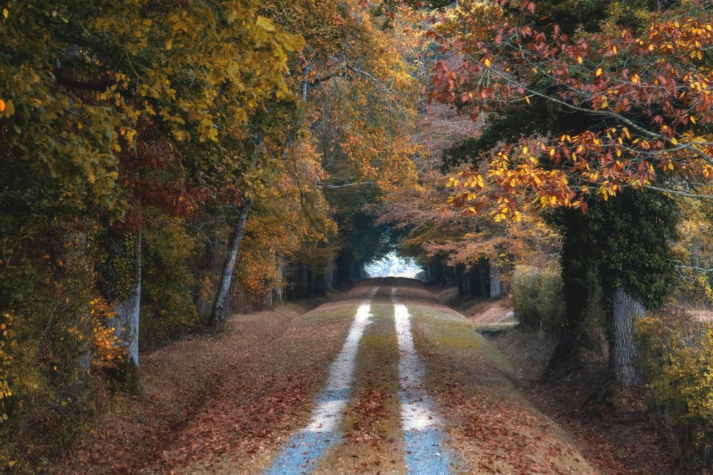 Photograph by Демьян Лопатов