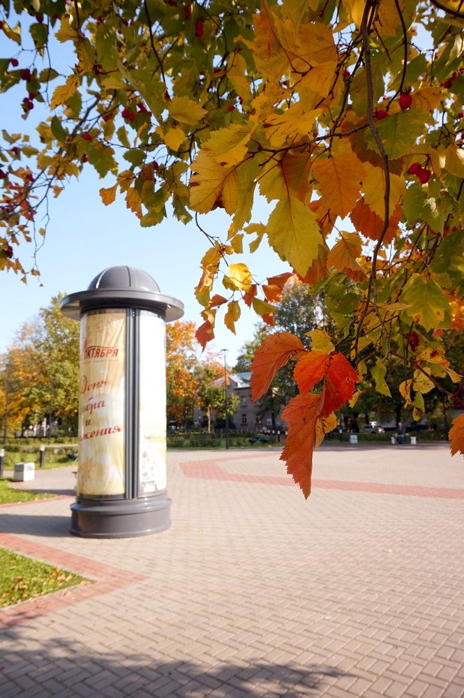 Photograph by Юлия Ганюшина