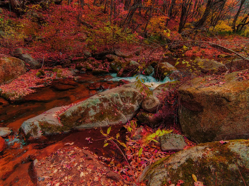 Photograph by ZHANG Hui
