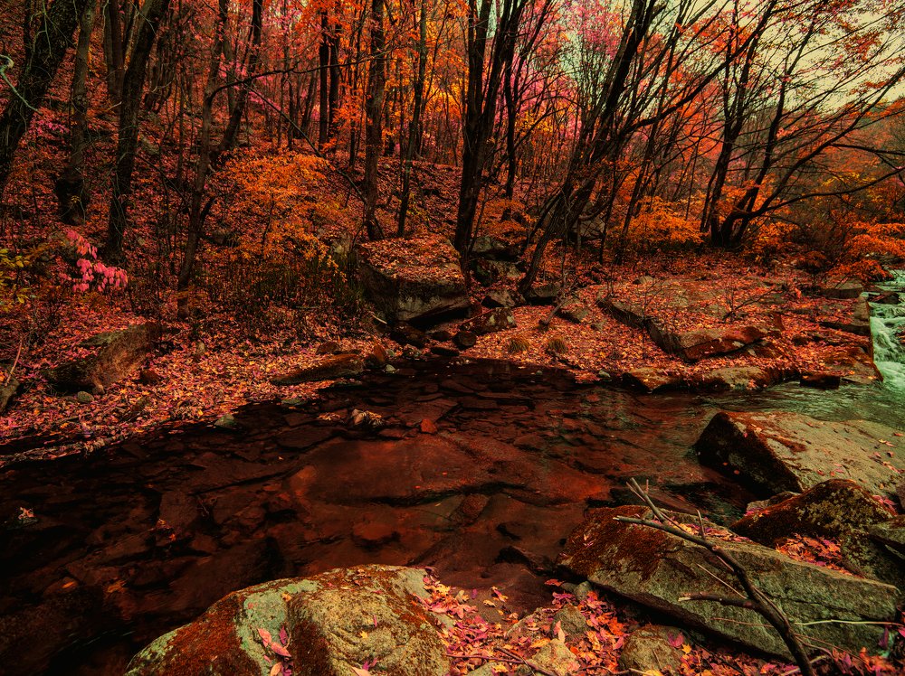 Photograph by ZHANG Hui