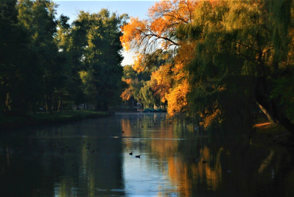 Photograph by Варвара Мелузова