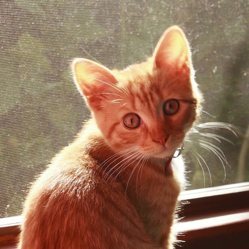 Photograph by Дарья Котенко