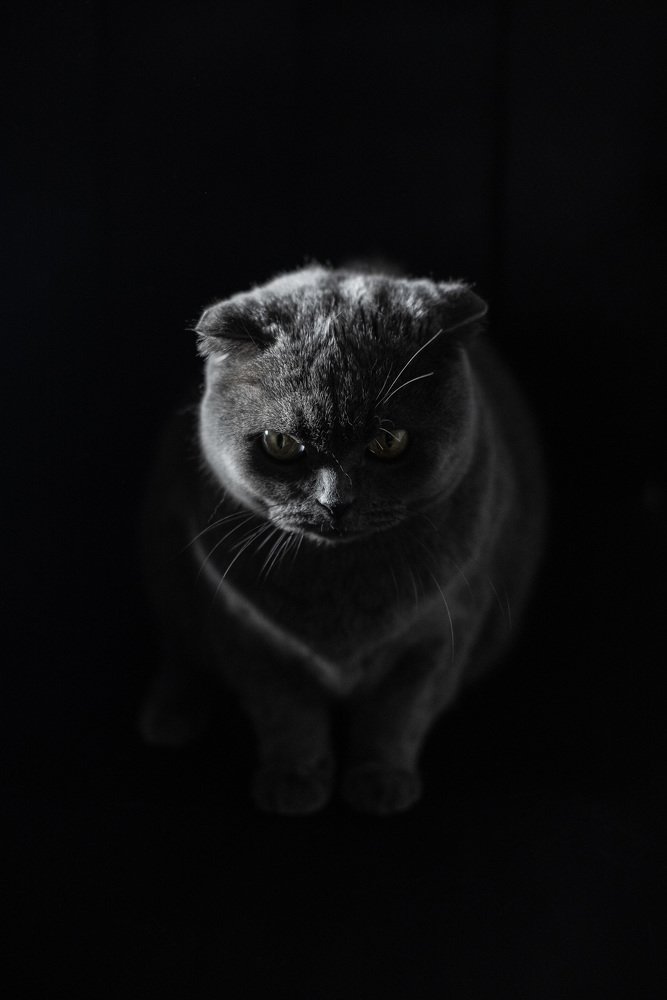 Photograph by Зухра Галиуллина