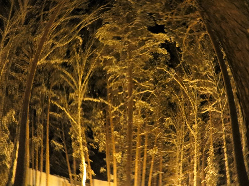 Photograph by Галина