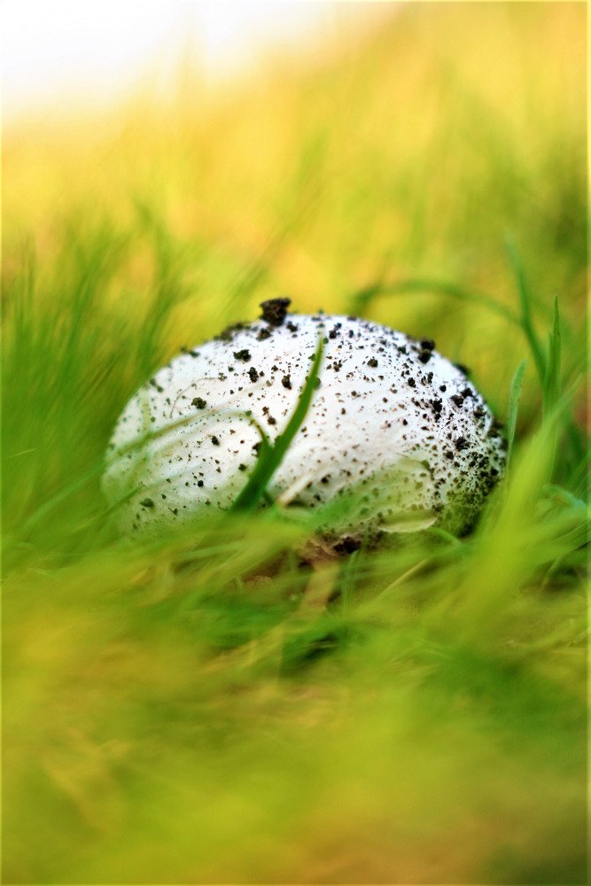 Photograph by Варвара Мелузова