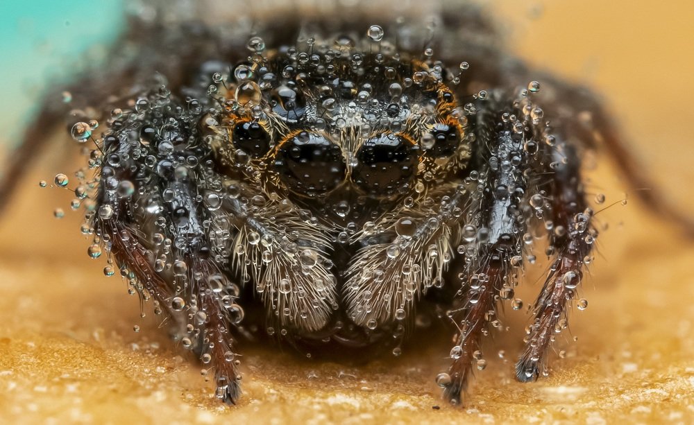 Shower under the Sun
