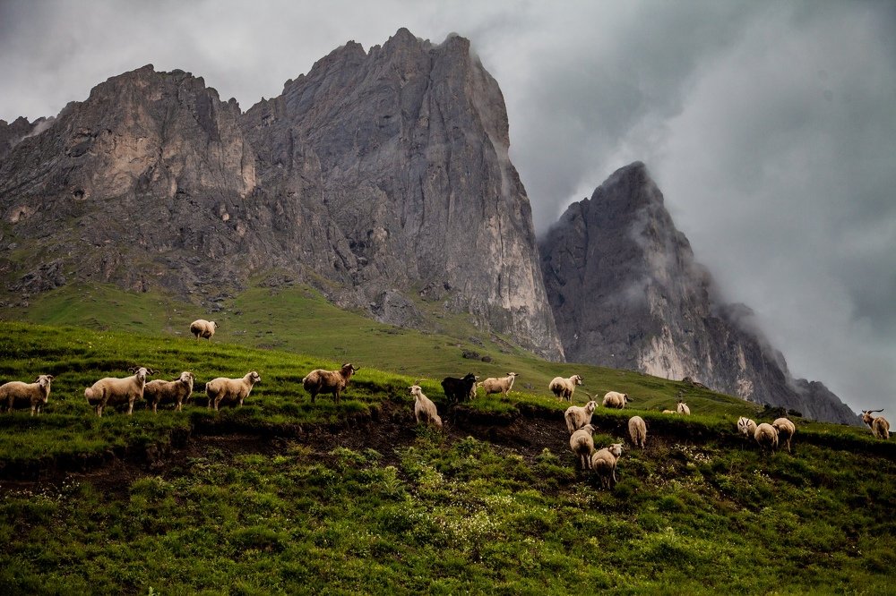 Photograph by Юлия Чекарева