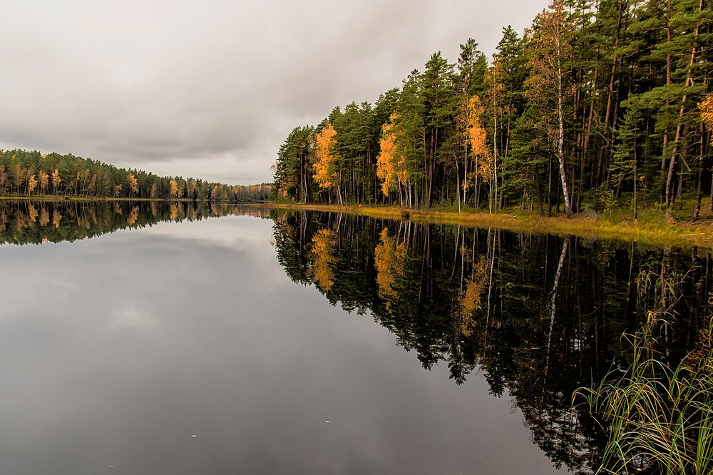 Photograph by Gaļina