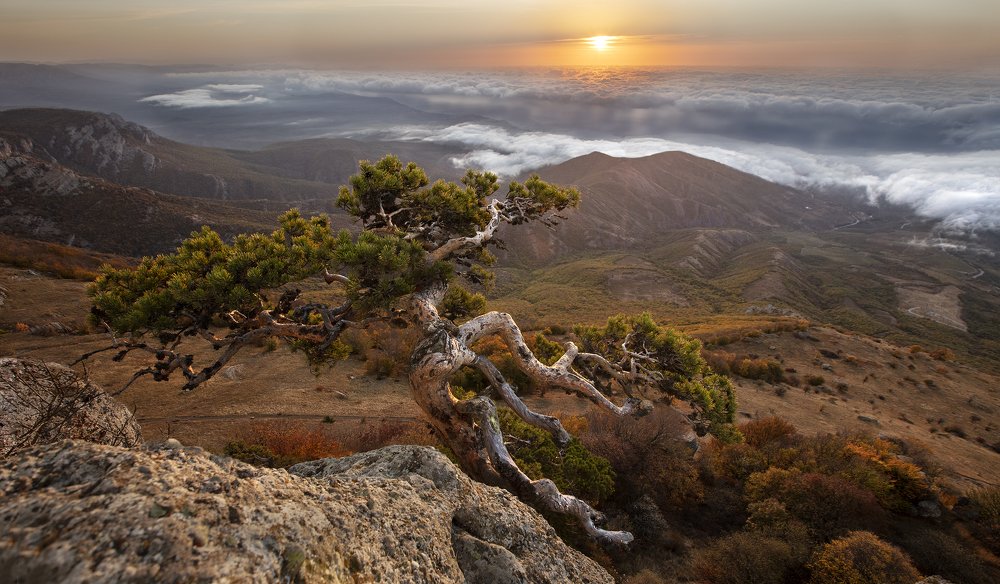 Photograph by Дериглазова Марина Владимировна