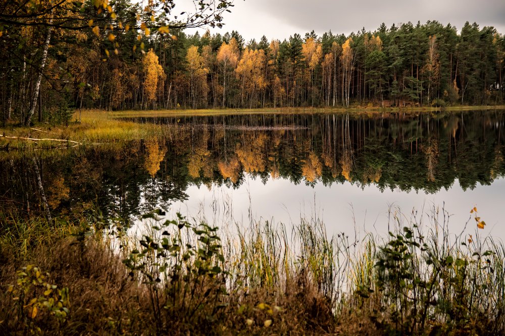 Photograph by Gaļina