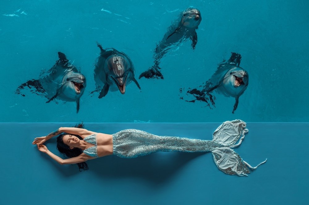 Фотография автора Анисимова Наталия