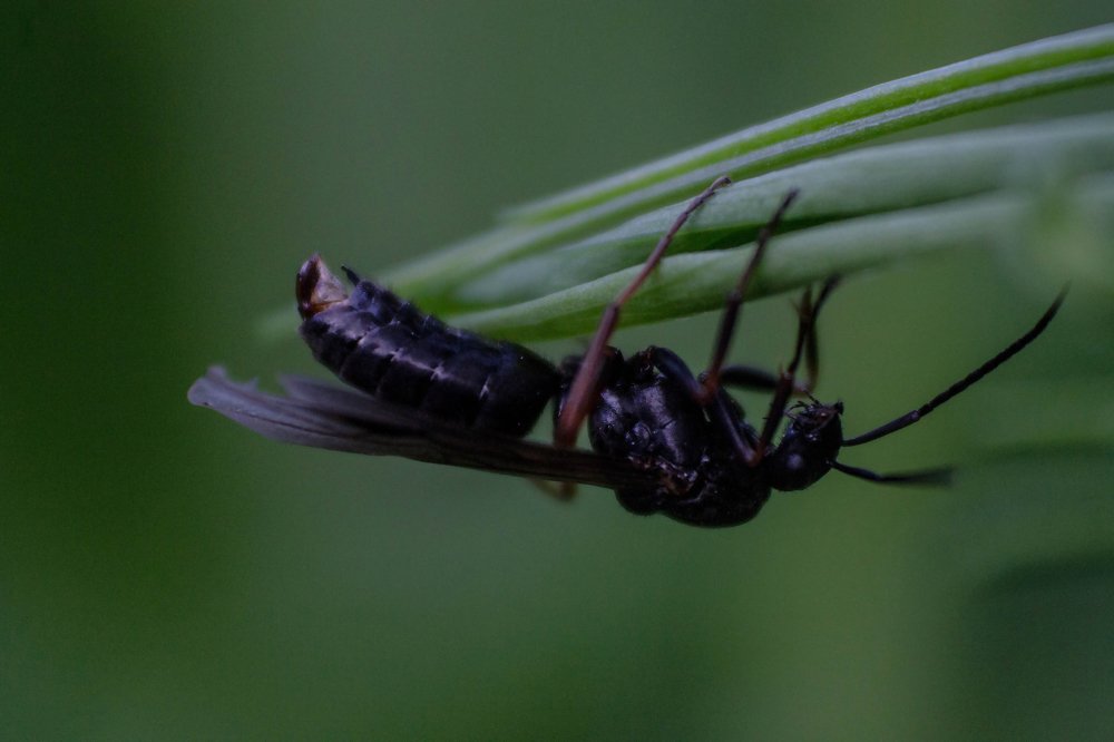 Photograph by Анна Колесникова