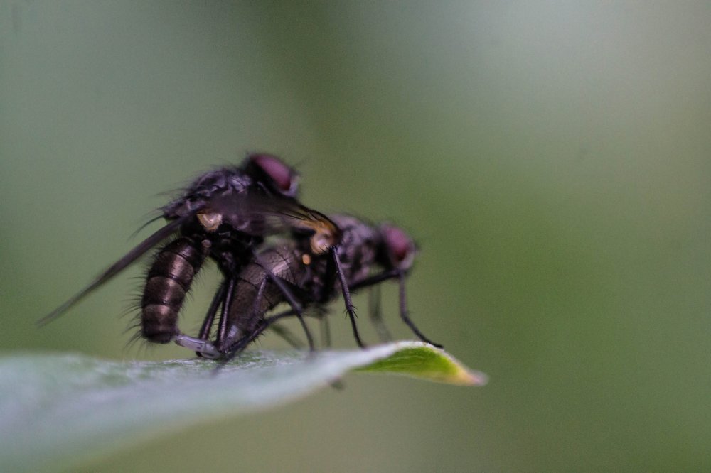 Photograph by Анна Колесникова