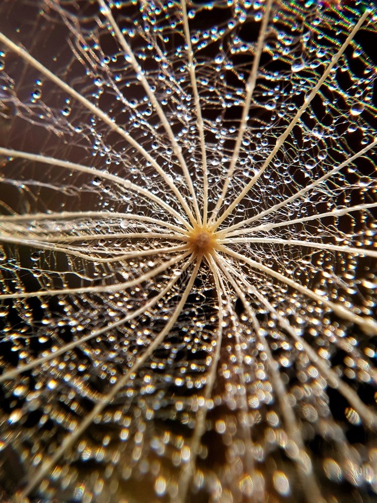 Photograph by Татьяна Пименкова