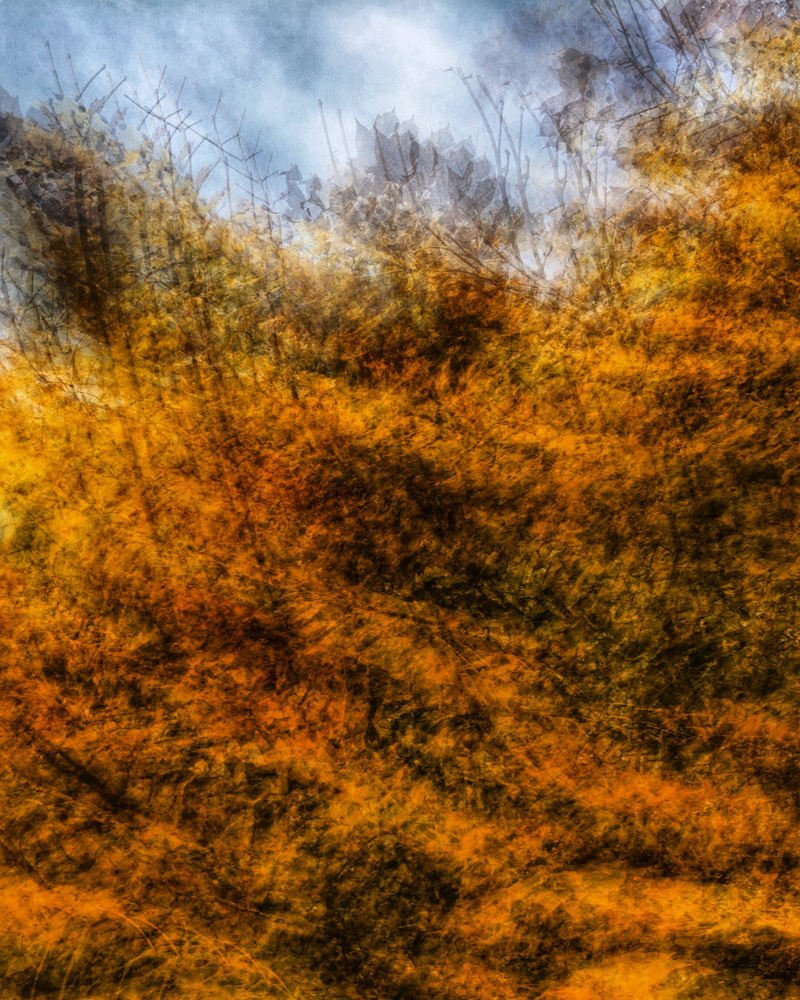 Photograph by Александра