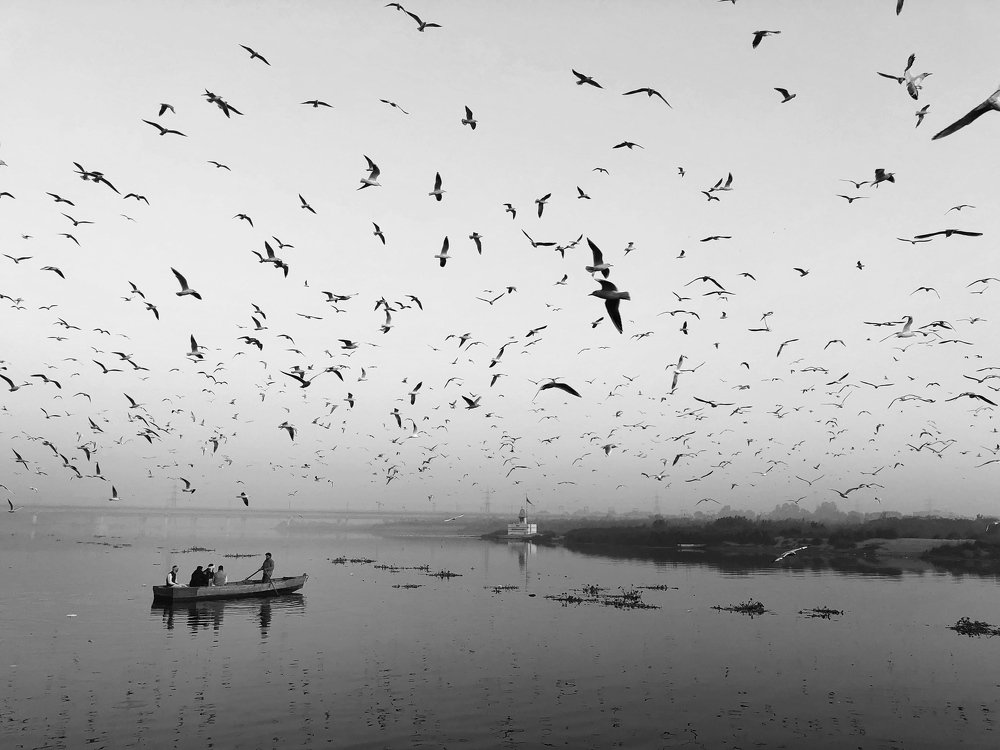 Photograph by Yogesh Gupta