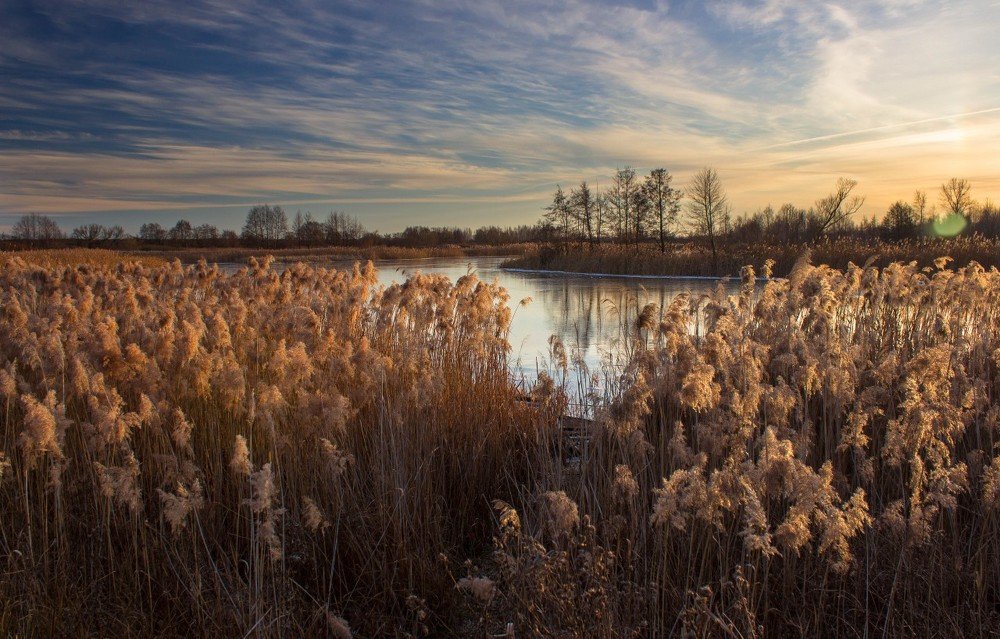 Фотография автора Евгений Подгорнов